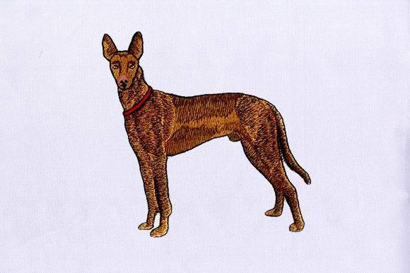Brown Greyhound: An Embroidery Designer's Review