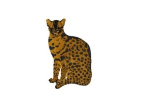 Fishing Cat Embroidery Design Review for Handmade Gifts
