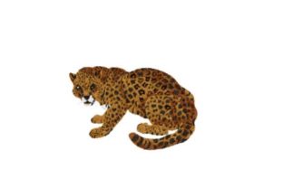 Jaguar Embroidery Design: A Handmade Gift Review