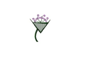 Lunation Wine Flower: A Designer's Review