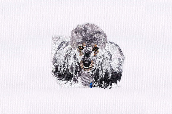 Poodle Face: Design Review for Small Business Merch