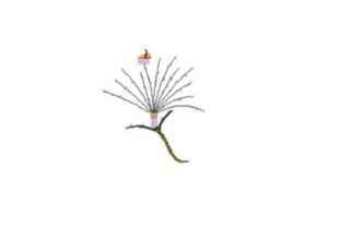 Rest Stop for Bees Flower: A Designer's Review for Apparel