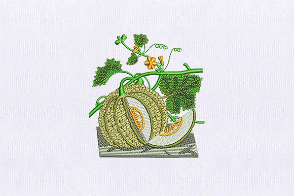 Vines Muskmelon Embroidery Review for Apparel Designers